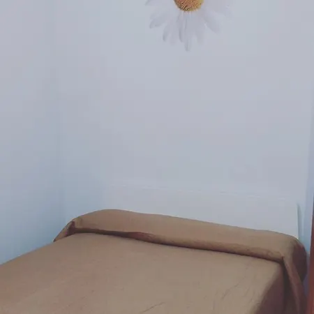 شقة 2
